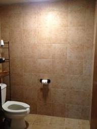 williams-flooring-lancaster-sc-custom-16-ceramic-bathroom-tile-toilet