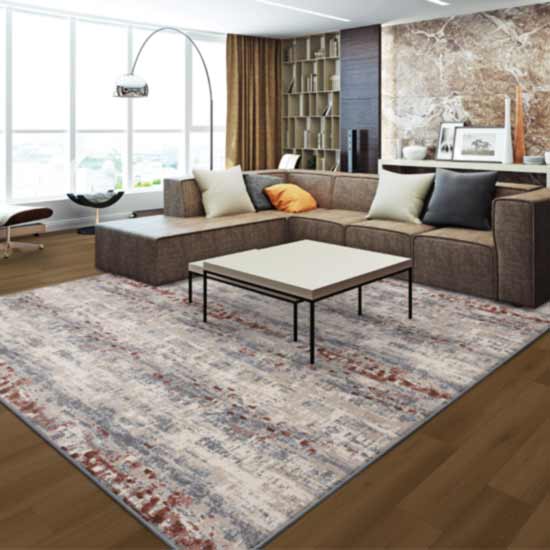 area rug in living room